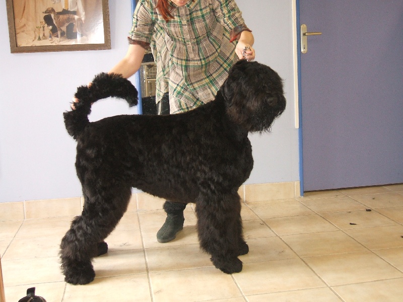 Eïjade de Koslova
